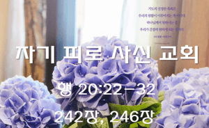 자기 피로 사신 교회(행 20:22-32)