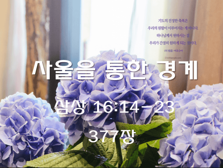 사울을 통한 경계(삼상 16:14-23)