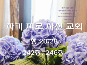 자기 피로 사신 교회(2) (행 20:28)