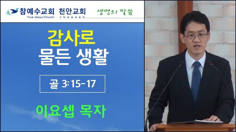 감사로 물든 생활 (골3:15-17)