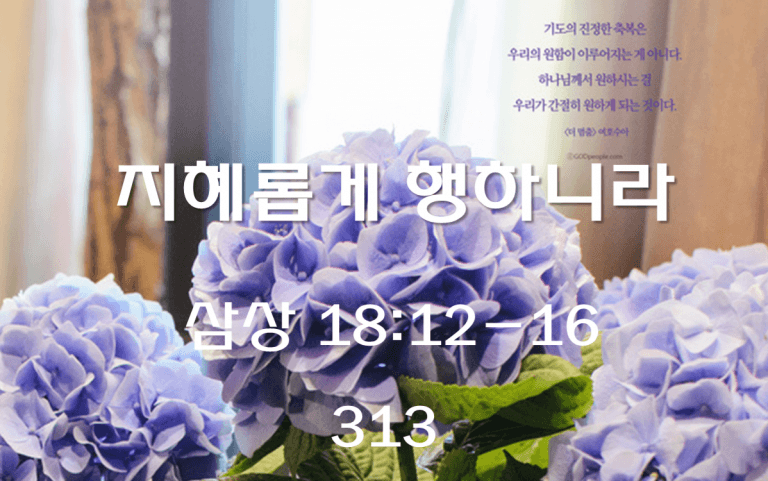 지혜롭게 행하니라 (삼상 18:12-16)