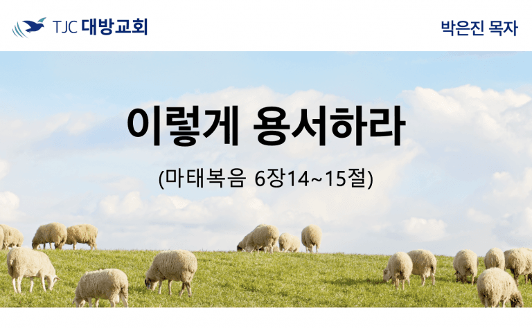 이렇게 용서하라 (마 6:14~15)