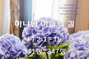 하나님 아들의 길 (마2:1-15)
