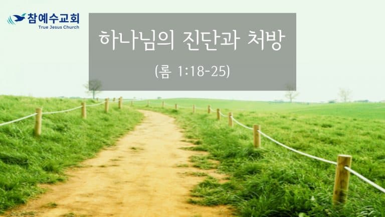 하나님의 진단과 처방 (롬 1:18-25)