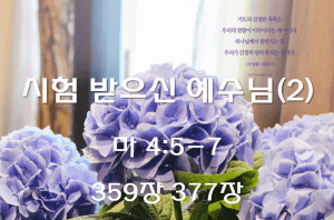 시험 받으신 예수님(2) (마 4:5-7)