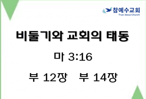 비둘기와 교회의 태동 (마 3:16)