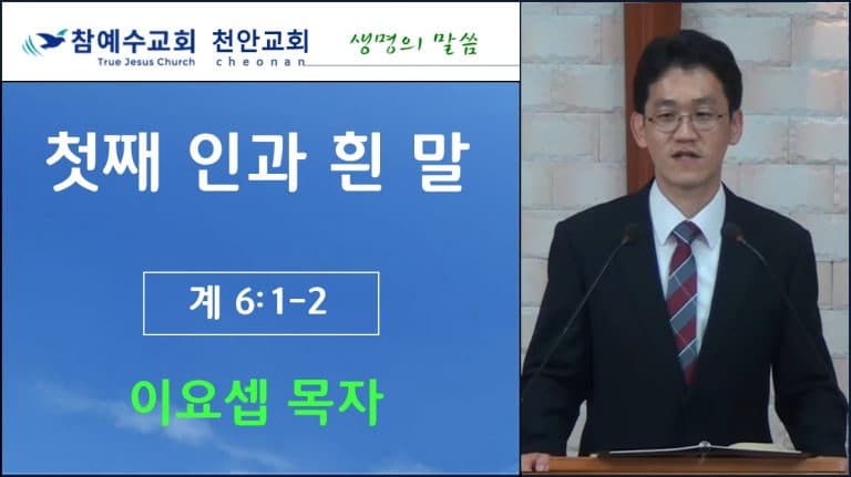첫째 인과 흰말