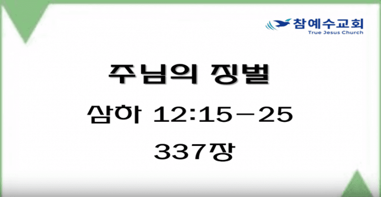 주님의 징벌 (삼하 12:15-25)