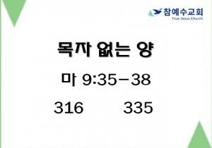 목자 없는 양 (마 9:35-38)