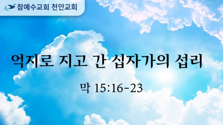 억지로 지고 간 십자가의 섭리 (막 15:16-23)