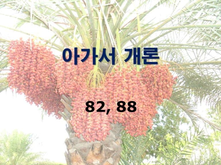 구약개론 2권 [아가서]