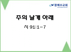 주의 날개 아래 (시 91:1-7)