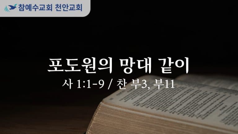 포도원의 망대같이 (사 1:1-9)