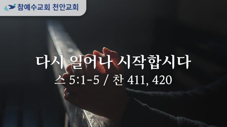 다시 일어나 시작합시다 (스 5:1-5)