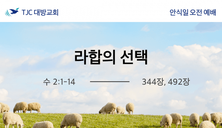 라합의 선택 (수 2:1-14)