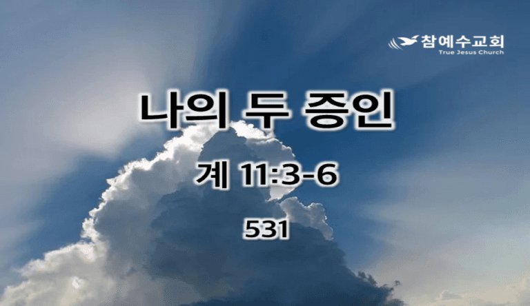 나의 두 증인 (계 11:3-6)