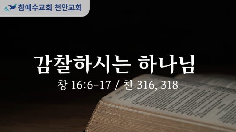 감찰하시는 하나님 (창 16:6-17)