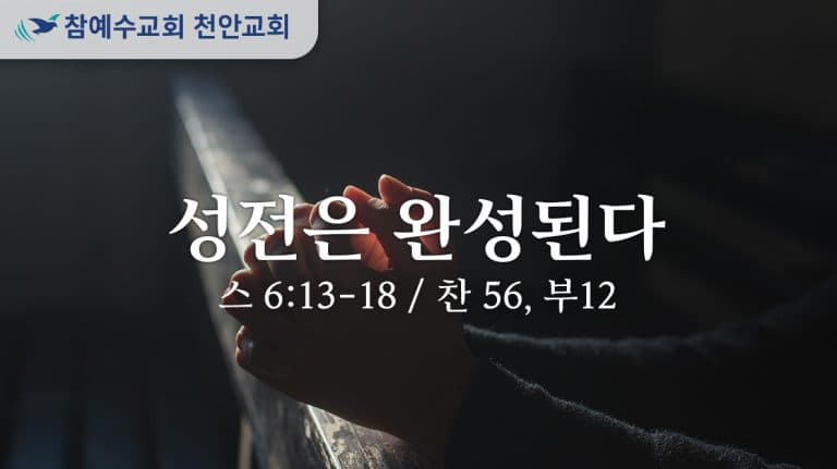 성전은 완성된다 (스 6:13-18)