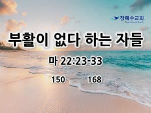 부활이 없다 하는 자들 (마 22:23-33)