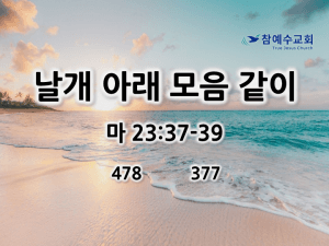 날개 아래 모음 같이 (마 23:37-39)