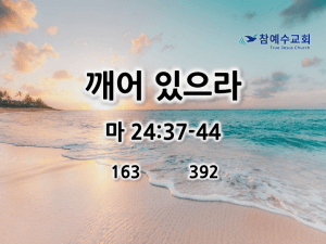 깨어 있으라 (마 24:37-44)