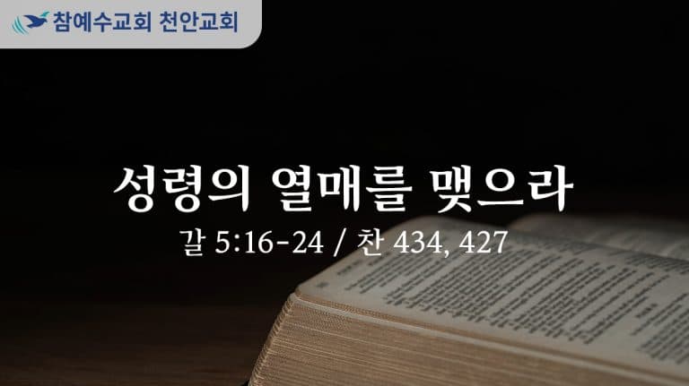 성령의 열매를 맺으라 (갈 5:6-24)