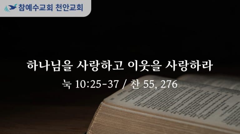 하나님을 사랑하고 이웃을 사랑하라 (눅 10:25-37)