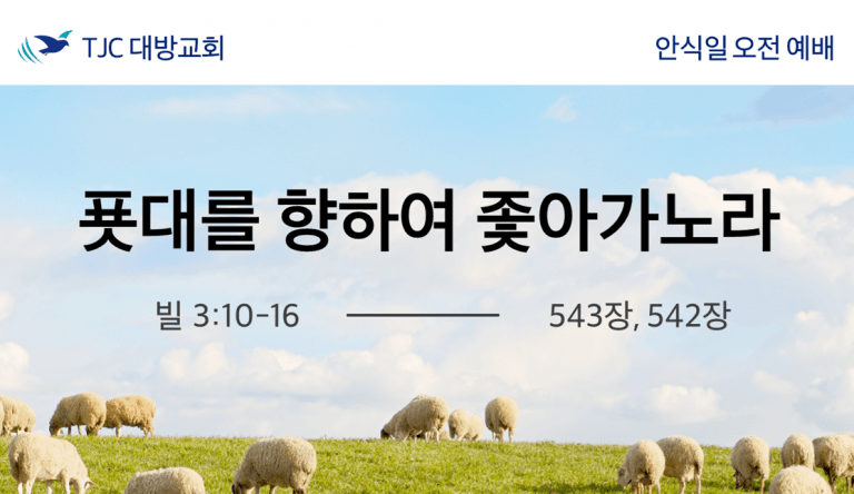 푯대를 향하여 좇아가노라 (빌 3:10-16)