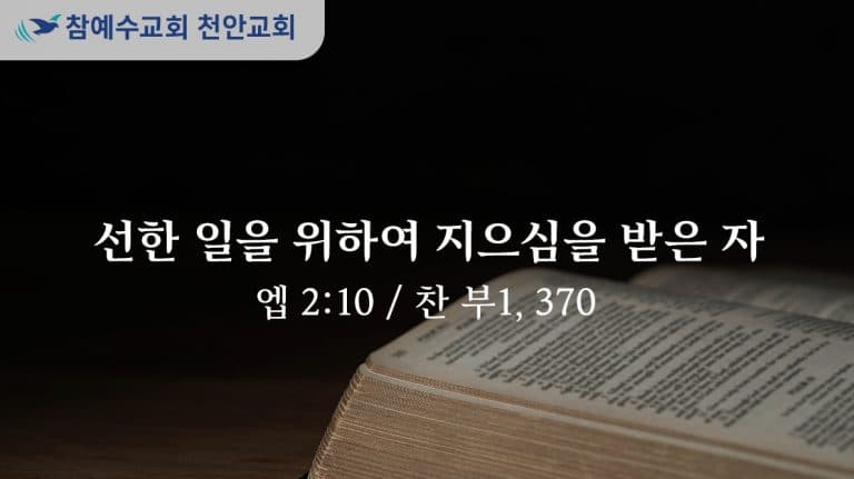 선한 일을 위하여 지으심을 받은 자 (엡 2:10)