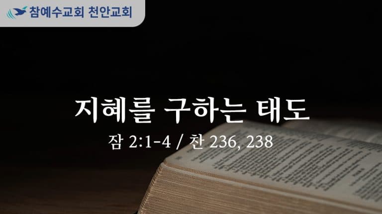 지혜를 구하는 태도 (잠 2:1-4)