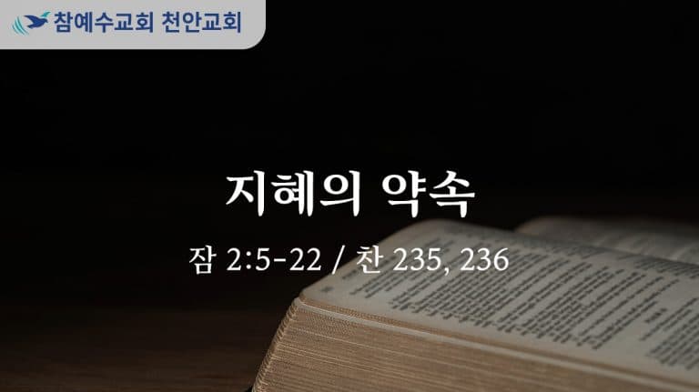 지혜의 약속 (잠 2:5-22)