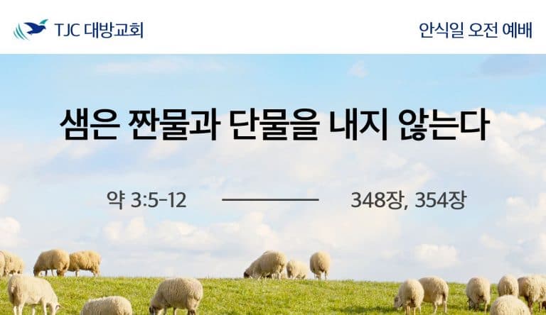샘은 짠물과 단물을 내지 않는다 (약 3:5-12)