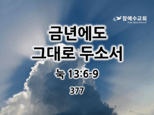 금년에도 그대로 두소서 (눅 13:6-9)