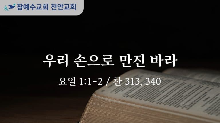 우리 손으로 만진 바라 (요일 1:1-2)