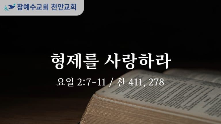 형제를 사랑하라 (요일 2:7-11)