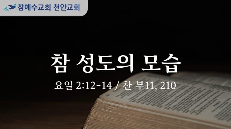 참 성도의 모습 (요일 2:12-14)