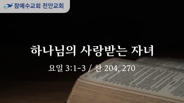 하나님의 사랑받는 자녀 (요일 3:1-3)