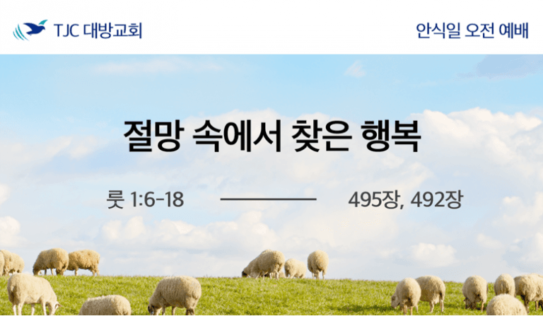 절망 속에서 찾은 행복 (룻 1:6-18)