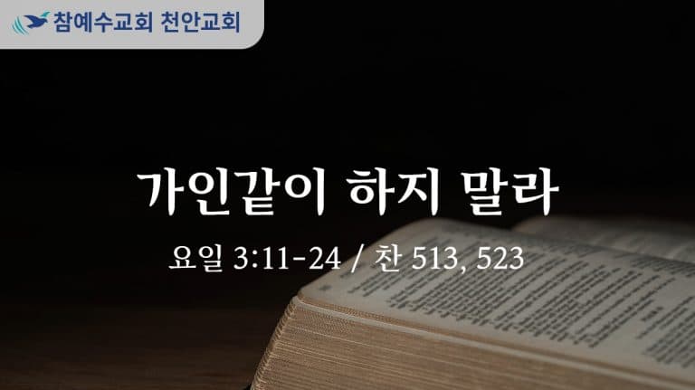 가인같이 하지 말라 (요일 3:11-24)