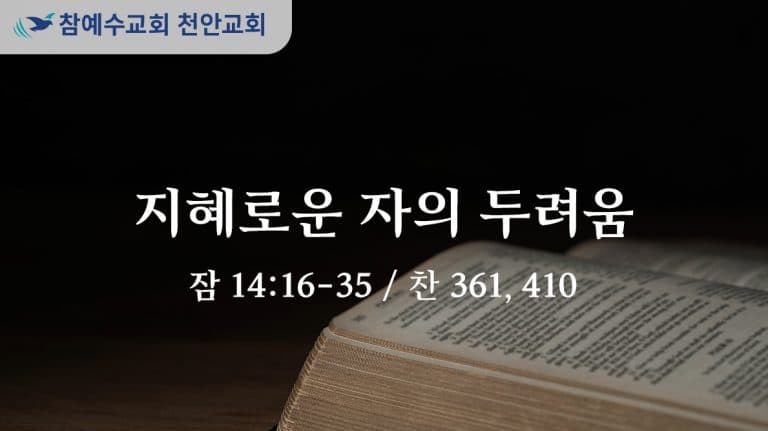 지혜로운 자의 두려움 (잠 14:16-35)