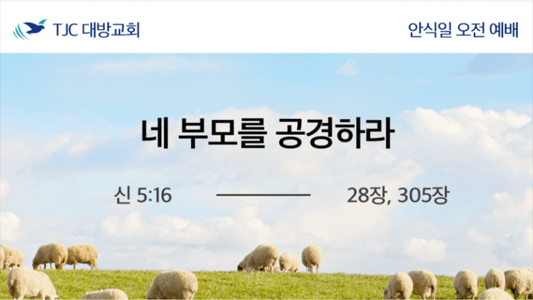 네 부모를 공경하라(신 5:16)