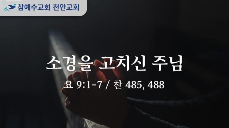 소경을 고치신 주님 (요 9:1-7)