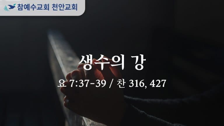 생수의 강 (요 7:37-39)