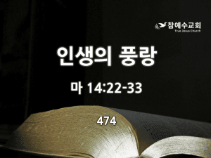 인생의 풍랑 (마 14:22-33)
