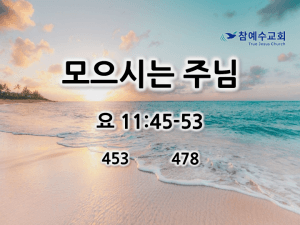 모으시는 주님 (요 11:45-53)