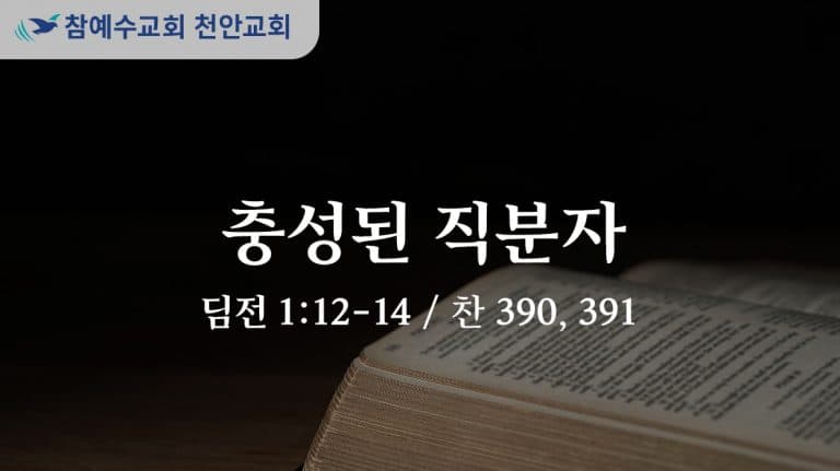 충성된 직분자 (딤전 1:12-14)