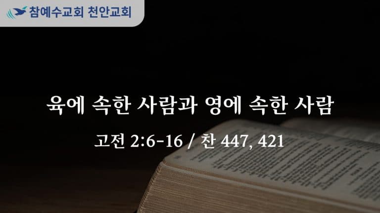 육에 속한 사람과 영에 속한 사람 (고전 2:6-16)