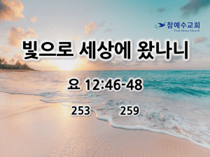 빛으로 세상에 왔나니 (요 12:46-48)