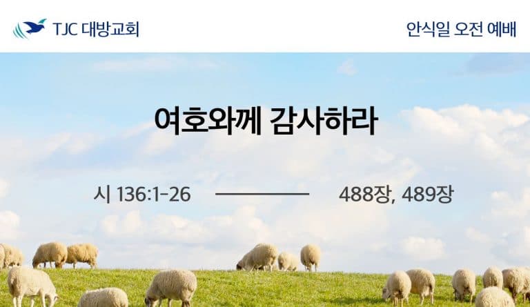 여호와께 감사하라 (시 136:1-26)