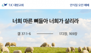 너희 마른 뼈들아 너희가 살리라(겔 37:1-6)